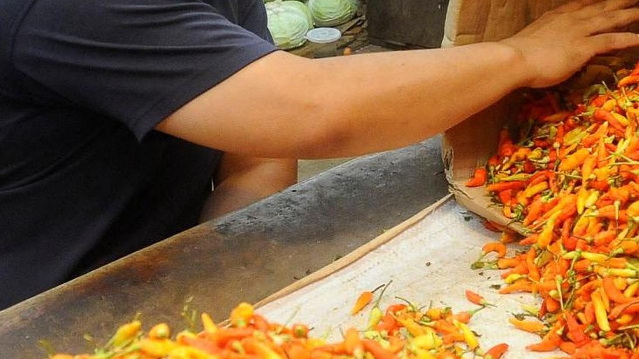 Mendag Zulkifli Kaget Harga Cabai Sudah Tembus Rp100.000 per Kg