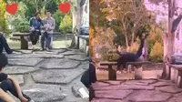 Lakukan Adegan Romantis Saat Latihan Drama, Pasangan Ini Malah Apes