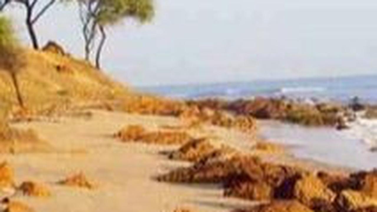 2. Pantai Sowan<br>