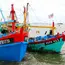 Pukat harimau semacam pukat kantong yang dioperasikan dengan cara ditarik pada jarak yang panjang.