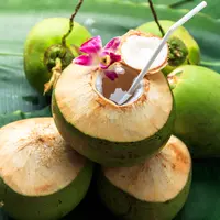 ilustrasi kelapa muda/copyright by SOUTHERNTraveler (Shutterstock)