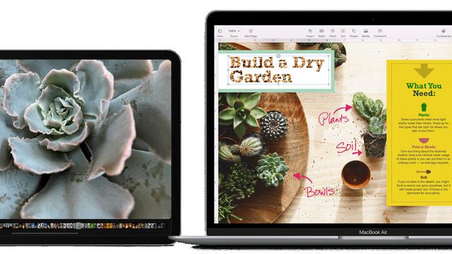 Capture the Entire Screen