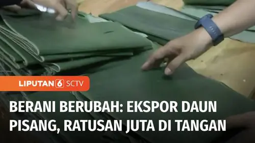 VIDEO: Berani Berubah: Ekspor Daun Pisang, Ratusan Juta di Tangan