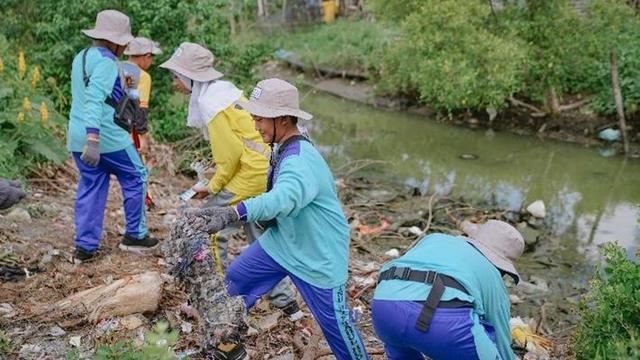 PTFI Tanam 50 Ribu Mangrove di Gresik, Dukung Pelestarian Ekosistem Pesisir