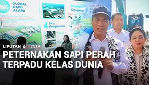 Peternakan Sapi Perah Terpadu Kelas Dunia
