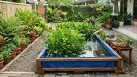 Cara Menanam Genjer di Kolam Terpal, Hemat Tempat dan Mudah Dirawat