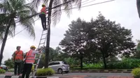 PLN Tertibkan Kabel Ilegal di Tiang Listrik Wilayah Jakarta 