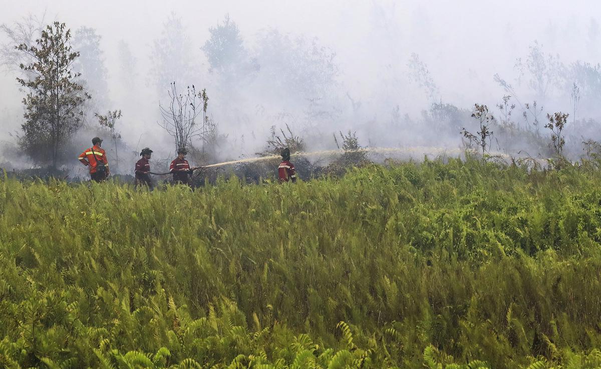 Kemarau Panjang Picu Kebakaran Lahan Gambut di Pulang Pisau