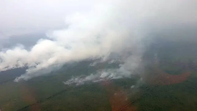 Kebakaran Hutan