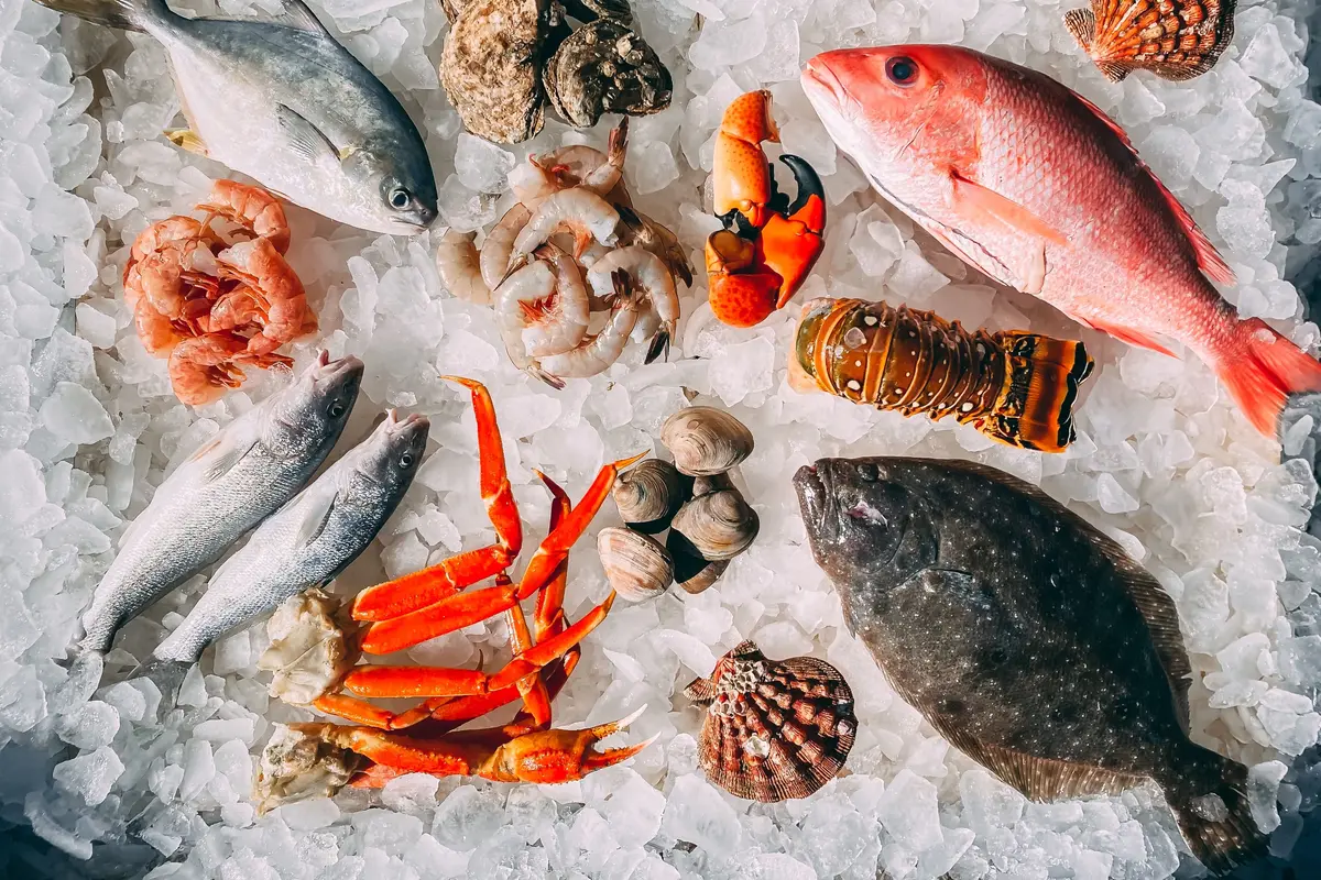 Contoh ilustrasi makanan laut