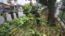 Petugas mengangkut batang dan daun pohon usai ditebang di kawasan Tanjung Barat, Jakarta, Kamis (16/11). Penebangan dilakukan sebagai langkah antisipasi untuk mencegah pohon agar tidak tumbang saat hujan. (iputan6.com/Immanuel Antonius)