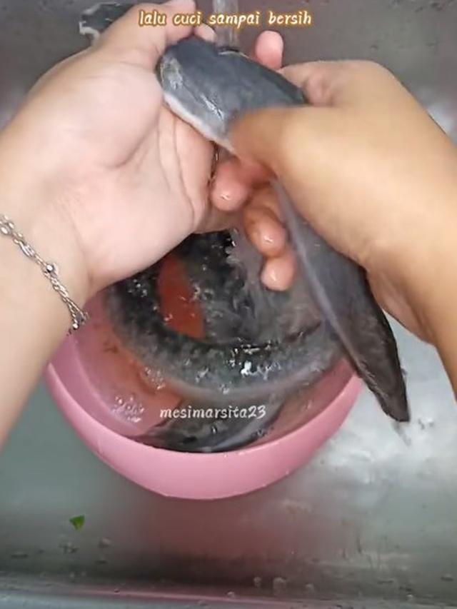 Cuma Pakai 2 Bahan, Begini Cara Hilangkan Lendir pada Ikan Lele Tanpa Perasan Jeruk Nipis