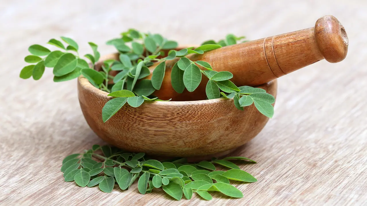 Manfaat Daun Kelor