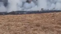 Tiga Jam Melawan Amukan Api di Gunung Gede, Bara Masih Mengintai