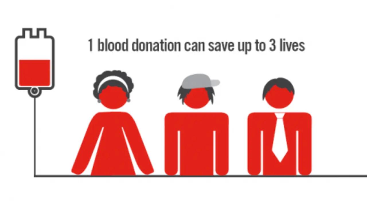 5 Manfaat Donor Darah