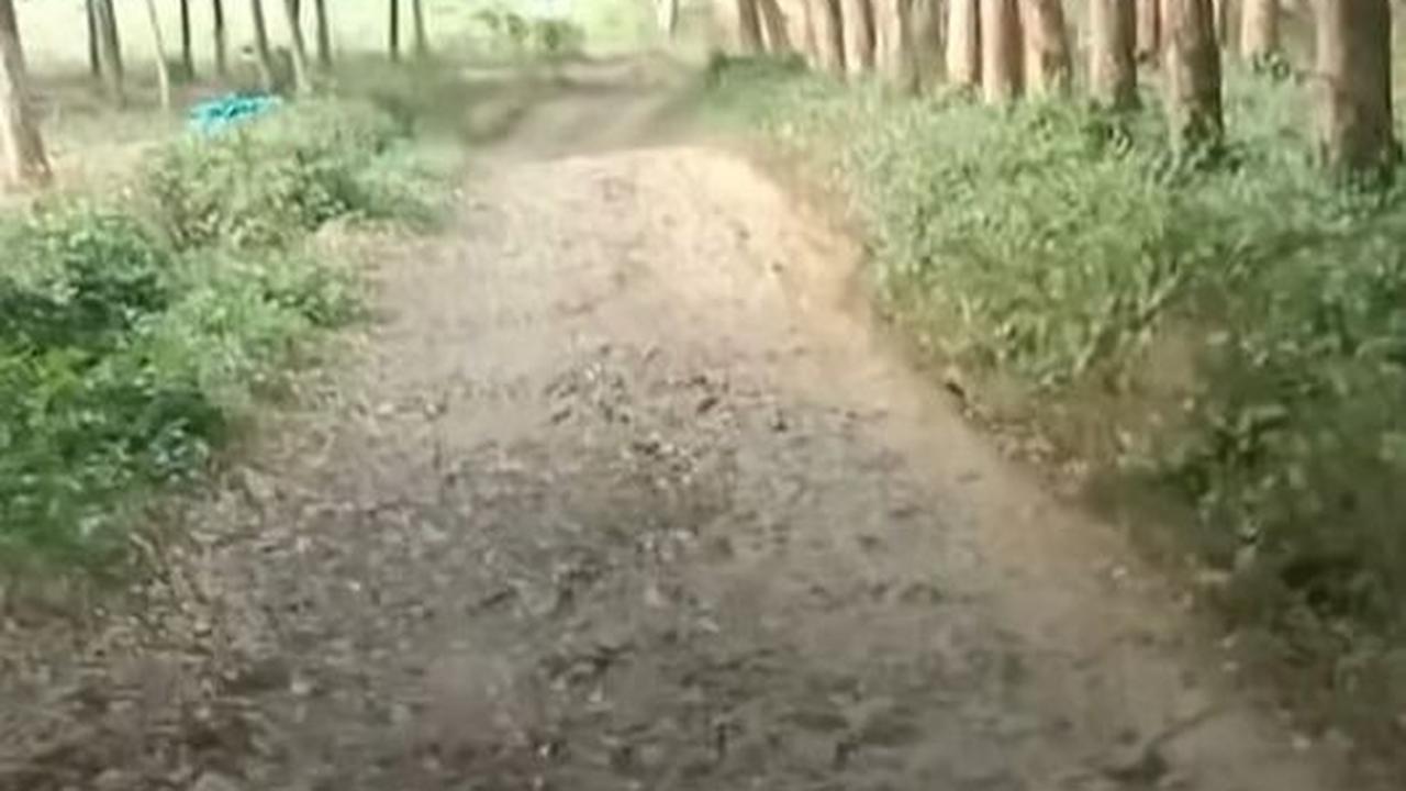 Wanita dengan akrab sapaan Umi ini terus melaju mengemudikan truk walaupun melewati hutan dan jalan rusak.&nbsp;<br>