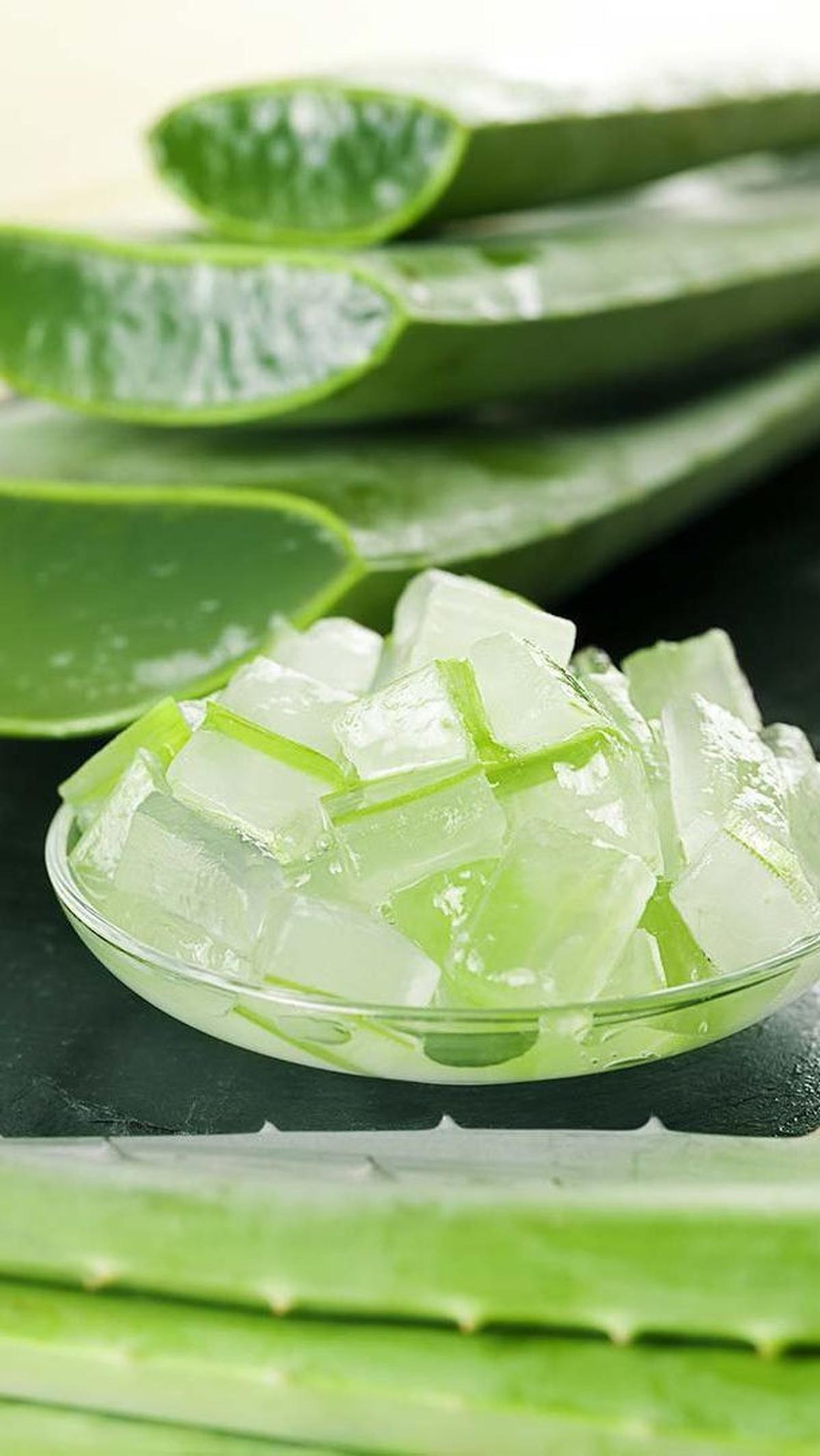 Aloe Vera yang Kaya Manfaat Sebagai Bahan Tambahan