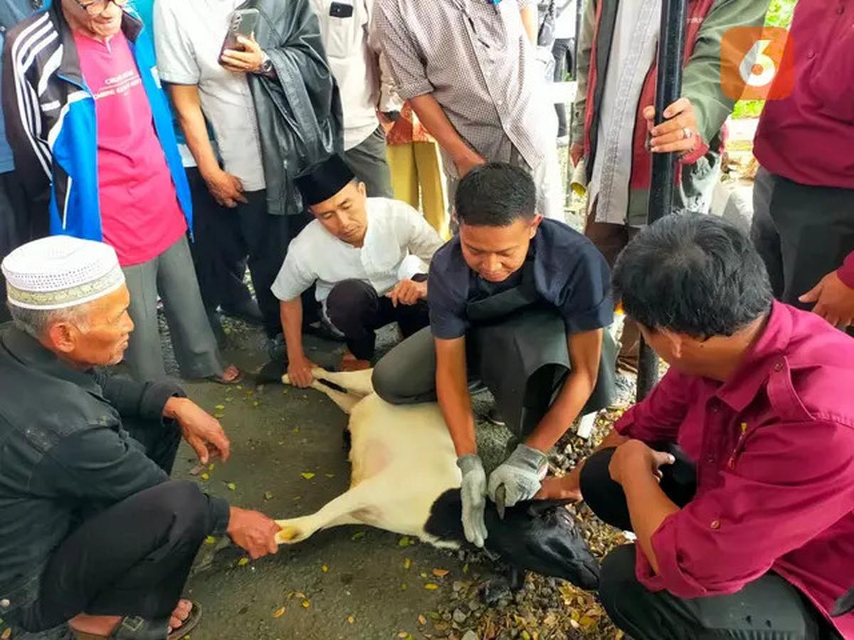 Waktu yang Tepat Menyembelih Hewan Kurban dan Tata Caranya, Penjelasan Buya Yahya
