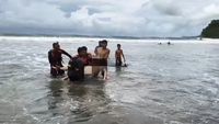 Wisatawan Tanpa Identitas Tewas Terseret Ombak di Pantai Karang Hawu Sukabumi