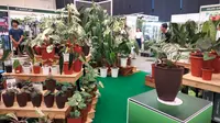 Tanaman hias di Floriculture Indonesia International Expo 2023 (Dok.Liputan6.com/Winda Syifa Sahira)