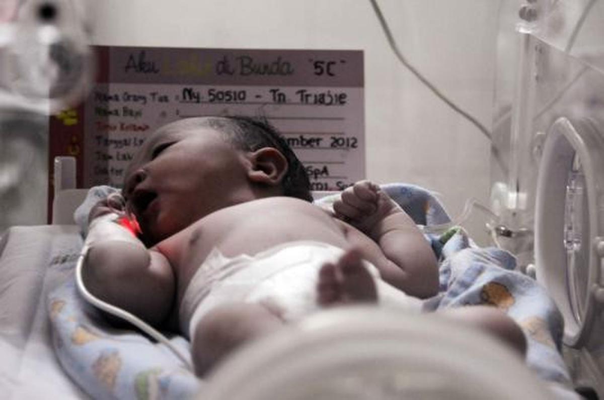 16 bayi lahir pada 12-12-12