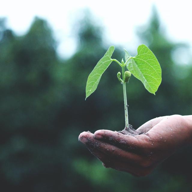 hari bumi 2021 warganet gaungkan earth