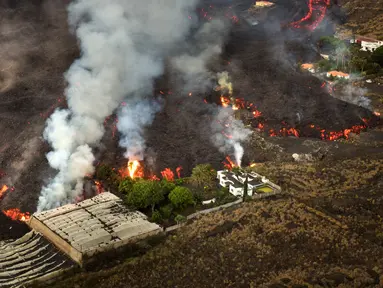 Aliran lava gunung berapi Cumbre Vieja menghancurkan rumah dan perkebunan pisang di Pulau Canary La Palma, Spanyol, 29 Oktober 2021. Gunung berapi Cumbre Vieja yang terus meletus mengeluarkan sejumlah besar magma, gas dan abu. (AP Photo/Emilio Morenatti)