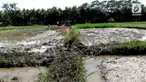 Api tiba-tiba muncul di area persawahan milik warga Desa Binangun. Api muncul saat warga sedang membuat sumur bor