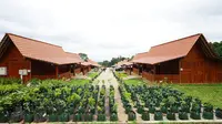 Agro Wisata Tamansuruh (AWT) Banyuwangi setelah dilakukan revitalisasi oleh Kementerian PUPR (Istimewa)