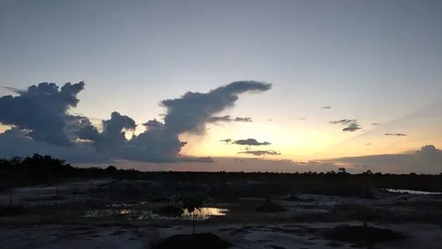 Senja Oleh Warganet