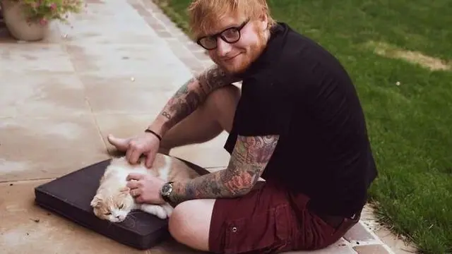 Gemas Banget, 8 Potret Selebritas Terkenal Bersama Kucing Kesayangan