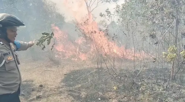 2 Hektare Taman Nasional Way Kambas Terbakar