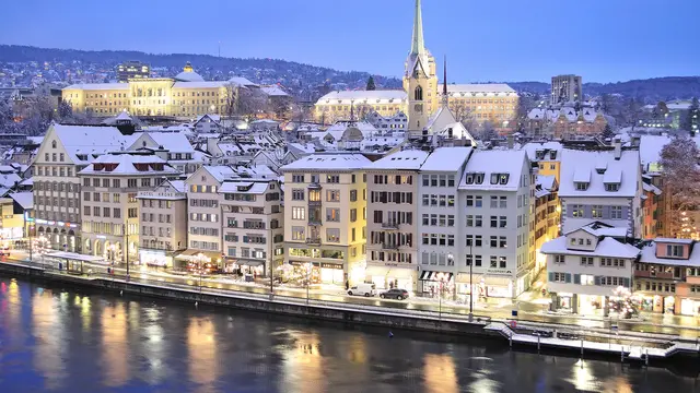 Kota zurich
