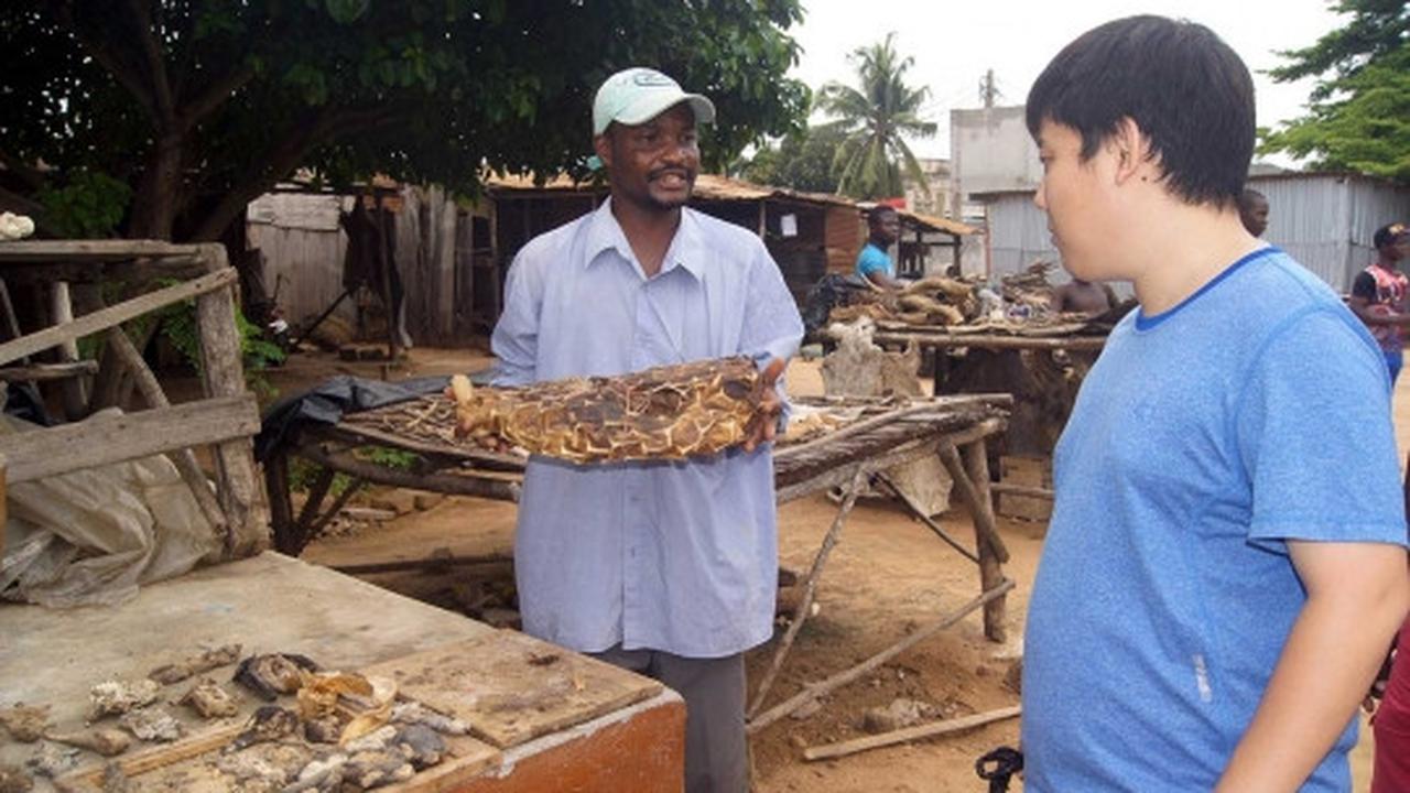 Menengok pasar jimat para dukun di Afrika
