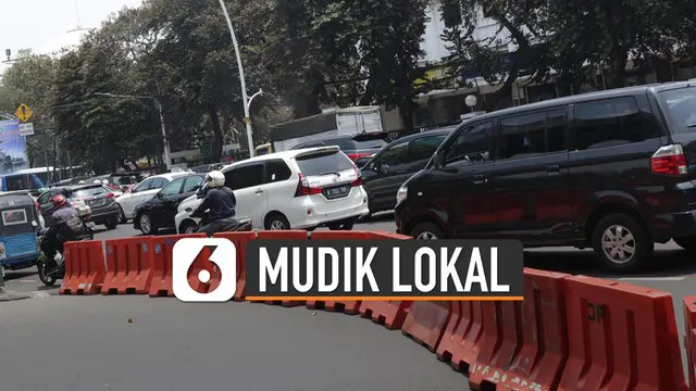 VIDEO: Pemprov DIY Bolehkan Warga Mudik Lokal, Berikut Ketentuannya