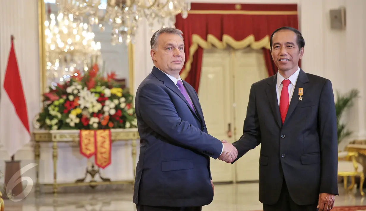 Presiden Joko Widodo bersalaman dengan PM Hongaria, Y.M. Tuan Viktor Orban di Istana Merdeka, Jakarta,  (1/2). Kunjungan tersebut menyepakati sejumlah perjanjian kerjasama kedua negara. (Liputan6.com/Faizal Fanani)