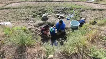 Warga Terpaksa Ambil Air dari Kubangan Bekas Sawah