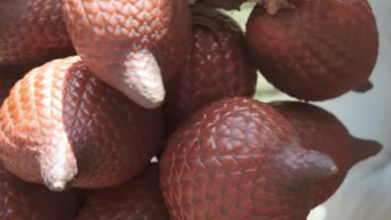 taman buah mekarsari