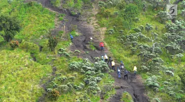 Pendaki berjalan melewati padang sabana dan edelweiss saat mendaki Gunung Merbabu di Selo, Boyolali, Jawa Tengah, Minggu (3/2). Libur Imlek dimanfaatkan warga Jawa Tengah dan Jabotabek untuk mendaki Gunung Merbabu. (Merdeka.com/Arie Basuki)