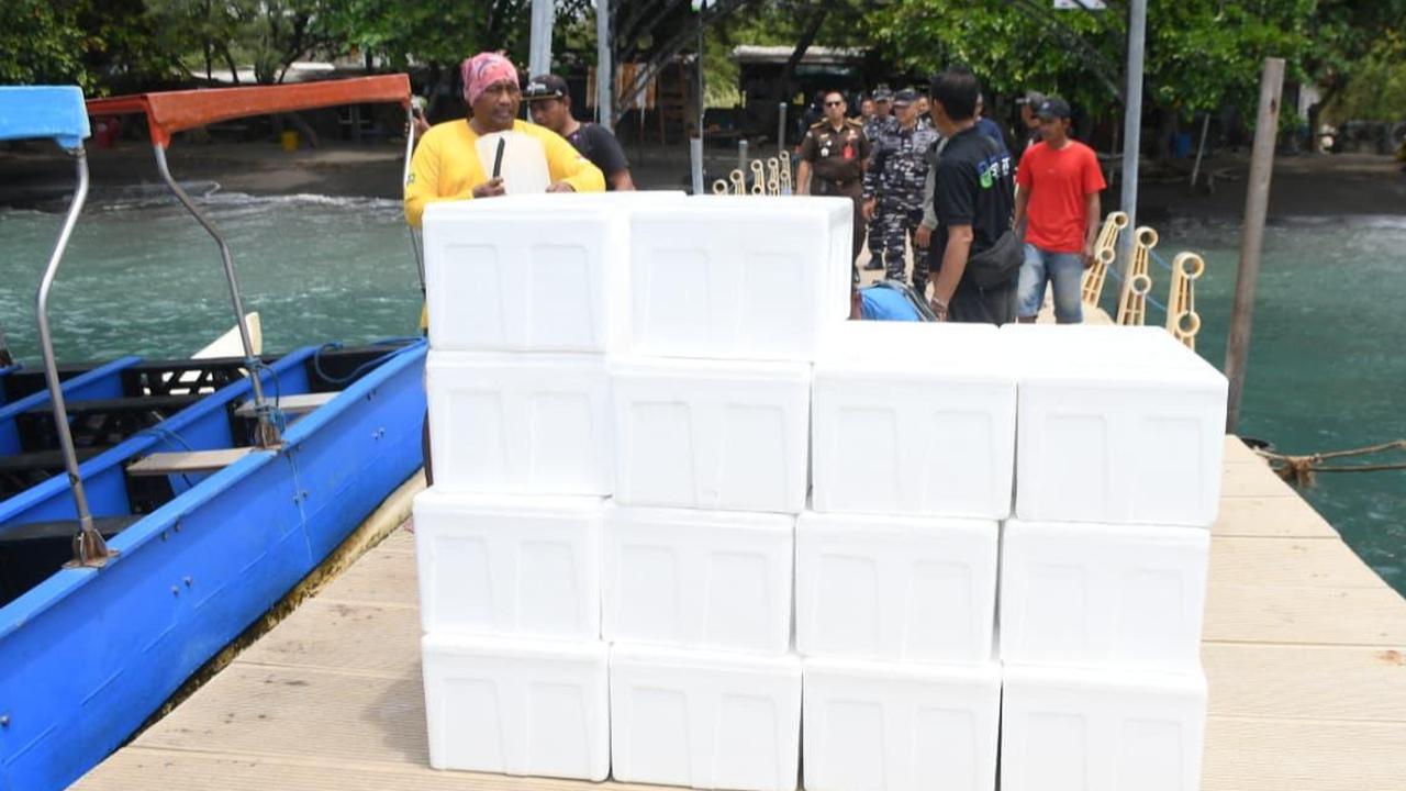 TNI AL Gagalkan Penyelundupan 85.000 Ekor Benih Bening Lobster di Wilayah Banyuwangi