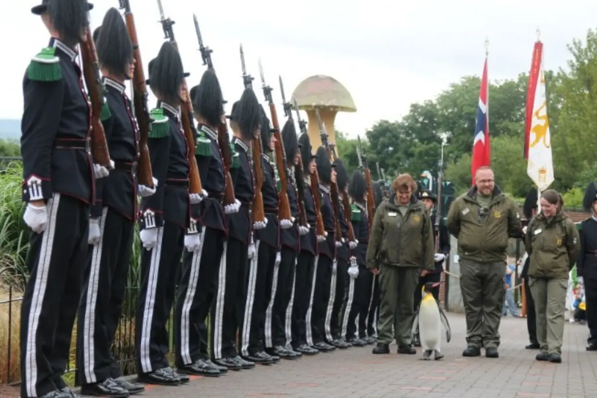Brigadir Sir Nils Olav, Pinguin Penerima Gelar Kehormatan Militer