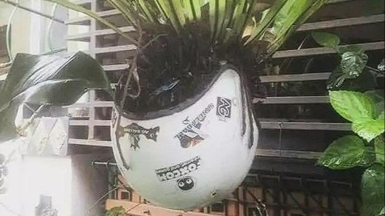 Helm kini jadi pot bunga