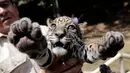 Seekor anak jaguar diperlihatkan di Kebun Binatang Altiplano saat tur media di Tlaxcala dekat Mexico City, Meksiko, pada 24 Mei 2019. Bayi jaguar berjenis kelamin betina tersebut lahir dalam kondisi sehat pada pertengah Maret 2019. (REUTERS/Henry Romero)