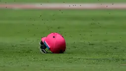 Pada pertandingan kriket pada 4 Februari 2017, antara tim Afrika Selatan melawan Sri Lanka dalam laga bertajuk 'pink day' itu, sekumpulan lebah hadir di lapangan Stadion Wanderers, Johannesburg yang membuat pemain sedikit takut. (AP Photo/Themba Hadebe)