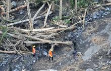Pencarian Korban Banjir Nagekeo Hari Keempat: Tim SAR Sisir Lebih dari 12 Km, 3 Orang Masih Hilang