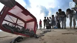 Pengunjung menyaksikan pelepasan lebih dari 300 tukik (anak penyu) Hijau di Pantai Pangumbahan, Ujung Genteng,  Sukabumi, Jawa Barat (27/10). Kegiatan pelepasan tukik pada sore hari ini menjadi  daya tarik pengunjung. (Merdeka.com/Arie Basuki)