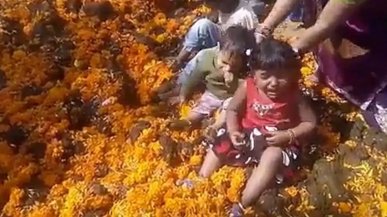 Ritual Aneh, Anak-Anak Dilumuri Kotoran Sapi. Tujuannya Apa?