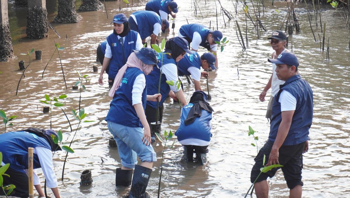 Aksi Nyata di Pesisir, Relawan BUMN Sulap Pantai Bahak Jadi Pusat Ekowisata