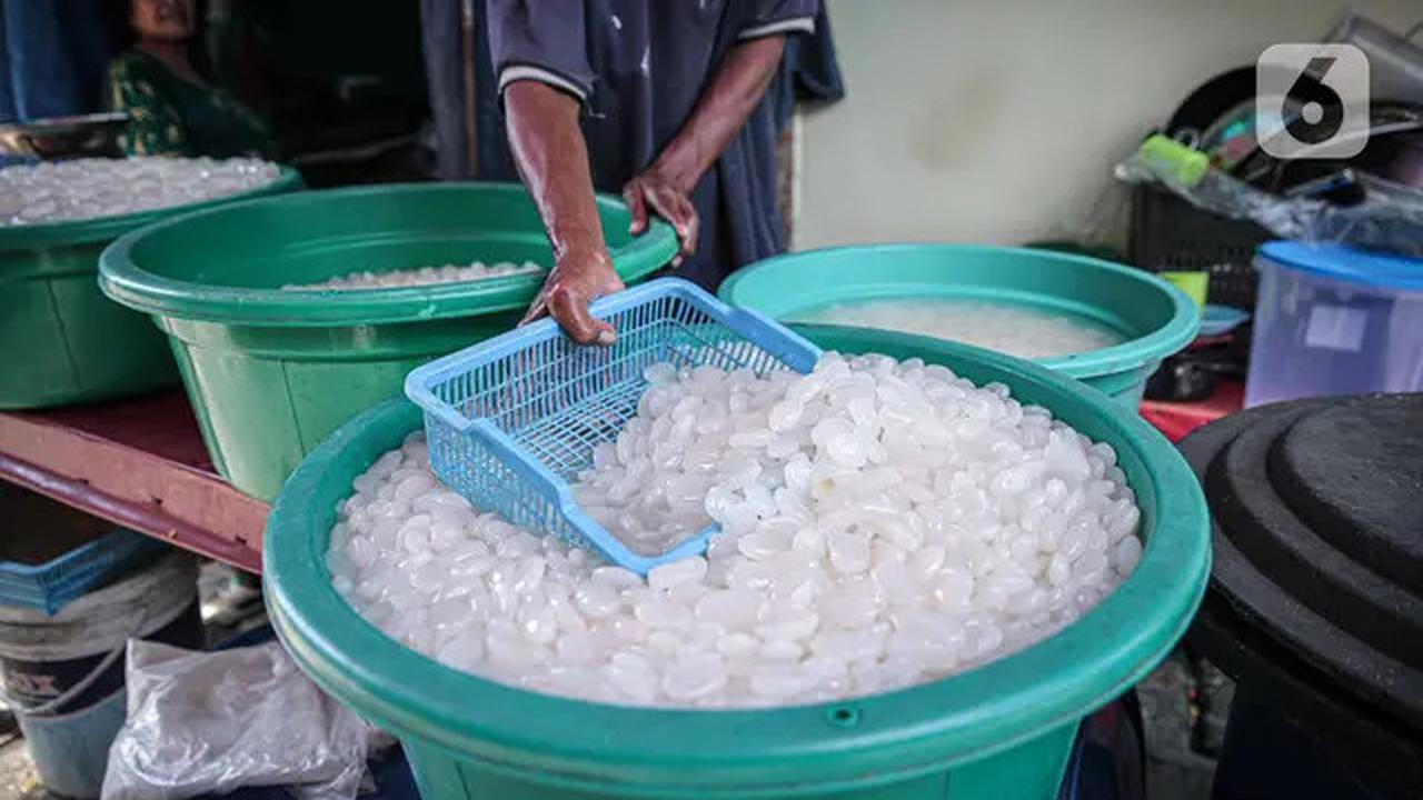 Manfaat Kolang-Kaling Rahasia Sehat Turunkan Kolesterol dan Asam Urat