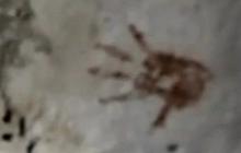 Ratusan Cap Tangan Misterius Berusia 1.200 Tahun Ditemukan di Gua Ini, Ternyata Punya Makna Mendalam